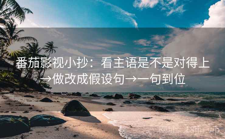 番茄影视小抄：看主语是不是对得上→做改成假设句→一句到位